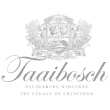 Taaibosch winery logo, representing Stellenbosch wine heritage.
