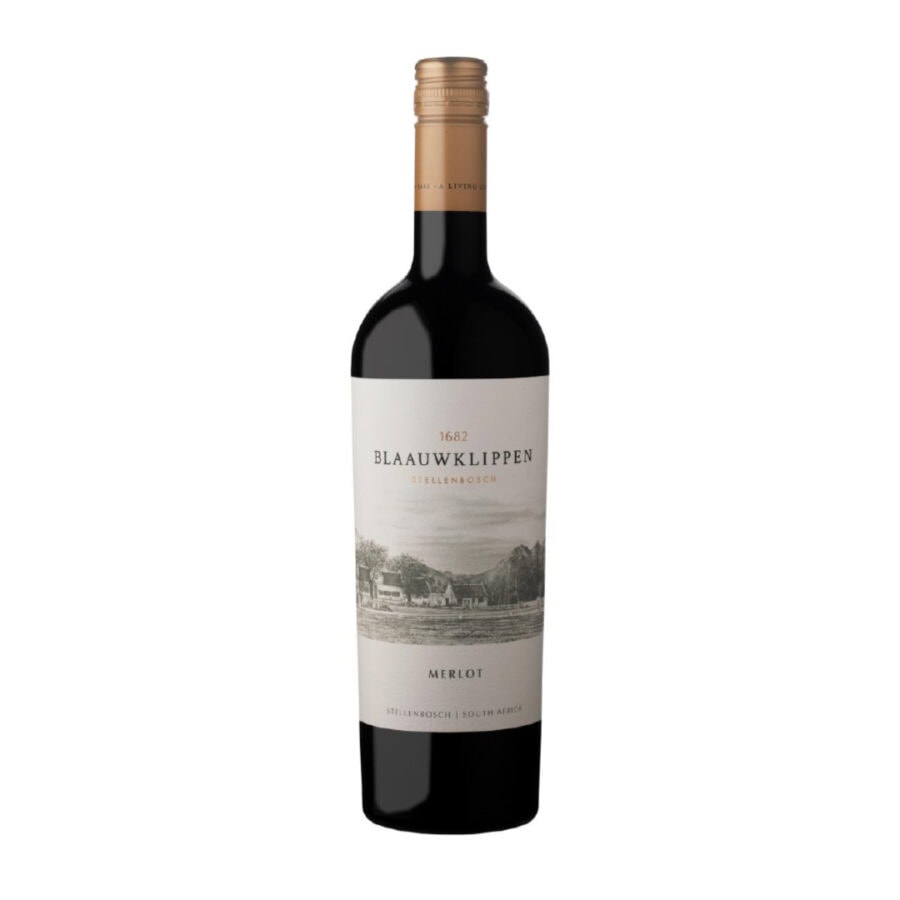 Blaauwklippen Merlot from Stellenbosch, showcasing South African wine heritage.