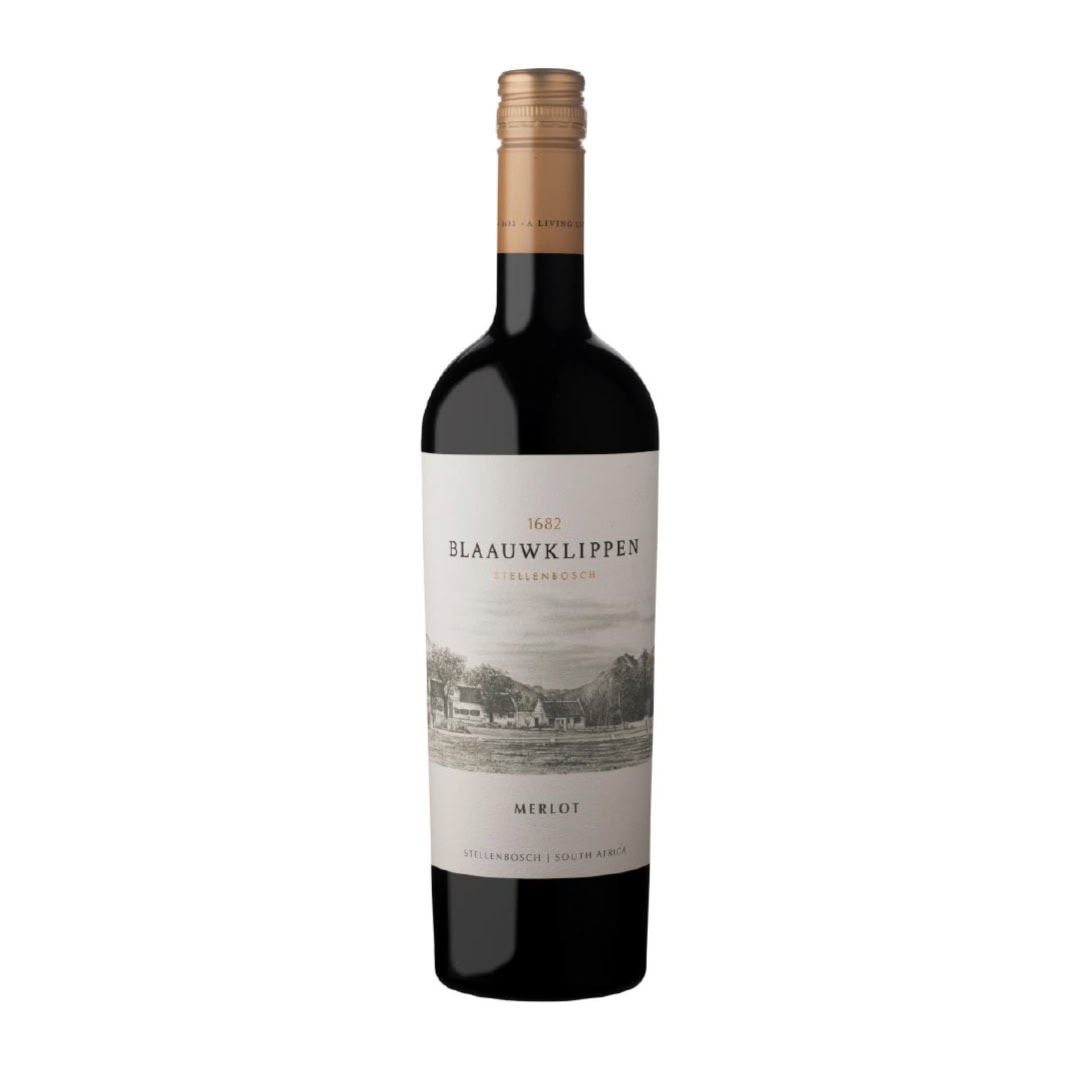 Blaauwklippen Merlot From Stellenbosch, Showcasing South African Wine Heritage.