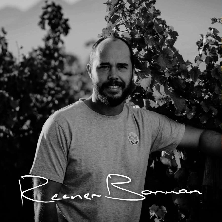 Vintner Raener Borman among Stellenbosch vineyards, showcasing South African wine culture.